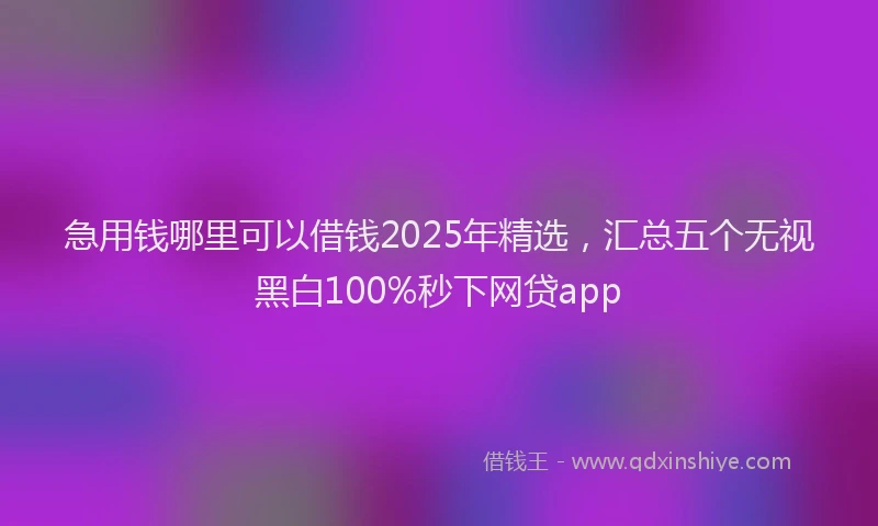急用钱哪里可以借钱2025年精选，汇总五个无视黑白100%秒下网贷app