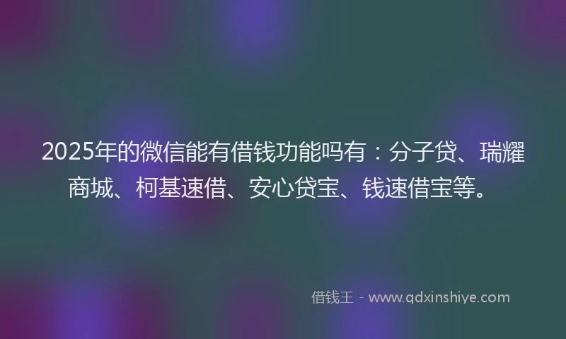 2025年的微信能有借钱功能吗有：分子贷、瑞耀商城、柯基速借、安心贷宝、钱速借宝等。