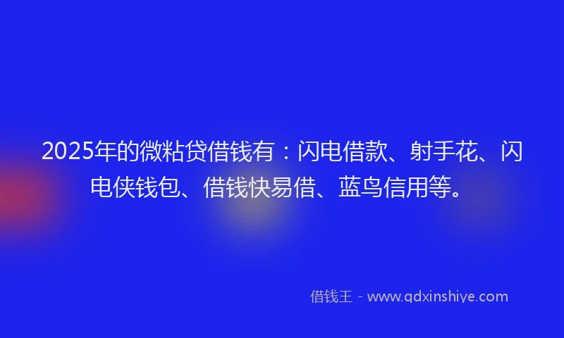 2025年的微粘贷借钱有：闪电借款、射手花、闪电侠钱包、借钱快易借、蓝鸟信用等。