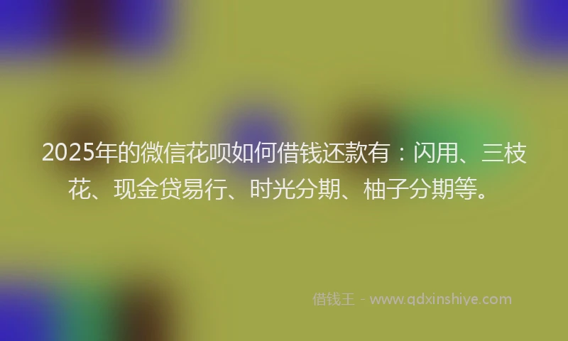 2025年的微信花呗如何借钱还款有：闪用、三枝花、现金贷易行、时光分期、柚子分期等。