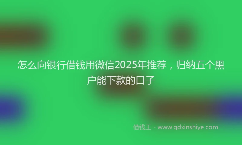 怎么向银行借钱用微信2025年推荐，归纳五个黑户能下款的口子