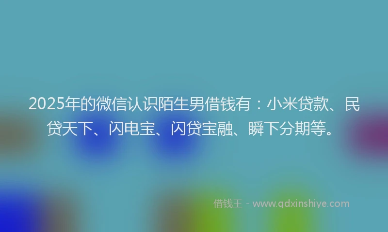 2025年的微信认识陌生男借钱有：小米贷款、民贷天下、闪电宝、闪贷宝融、瞬下分期等。