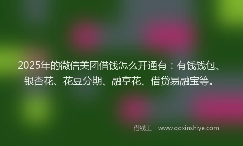 2025年的微信美团借钱怎么开通有：有钱钱包、银杏花、花豆分期、融享花、借贷易融宝等。
