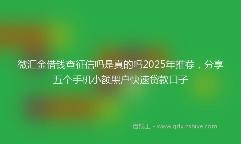 微汇金借钱查征信吗是真的吗2025年推荐，分享五个手机小额黑户快速贷款口子