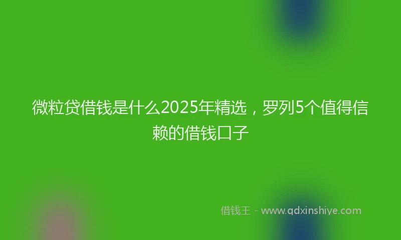 微粒贷借钱是什么2025年精选，罗列5个值得信赖的借钱口子