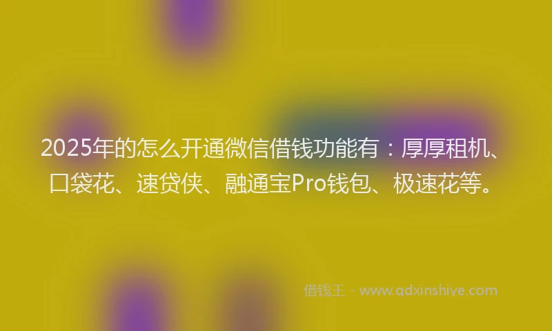 2025年的怎么开通微信借钱功能有：厚厚租机、口袋花、速贷侠、融通宝Pro钱包、极速花等。