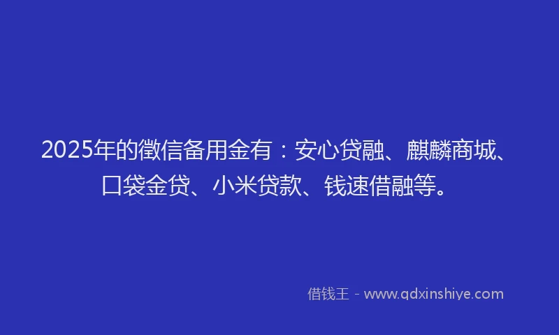 2025年的徵信备用金有：安心贷融、麒麟商城、口袋金贷、小米贷款、钱速借融等。