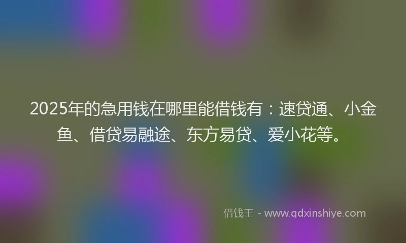 2025年的急用钱在哪里能借钱有：速贷通、小金鱼、借贷易融途、东方易贷、爱小花等。