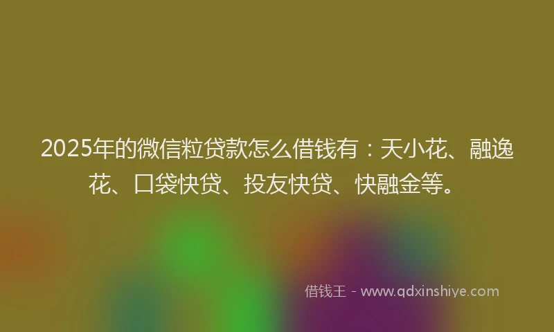 2025年的微信粒贷款怎么借钱有：天小花、融逸花、口袋快贷、投友快贷、快融金等。