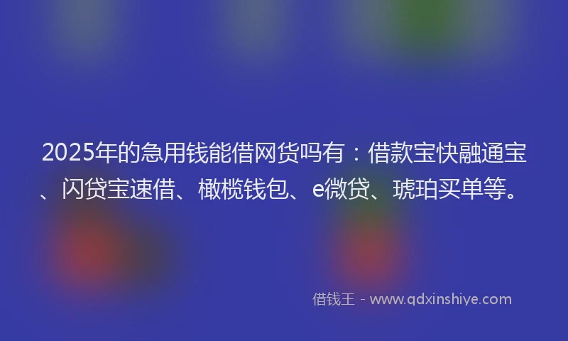 2025年的急用钱能借网货吗有：借款宝快融通宝、闪贷宝速借、橄榄钱包、e微贷、琥珀买单等。