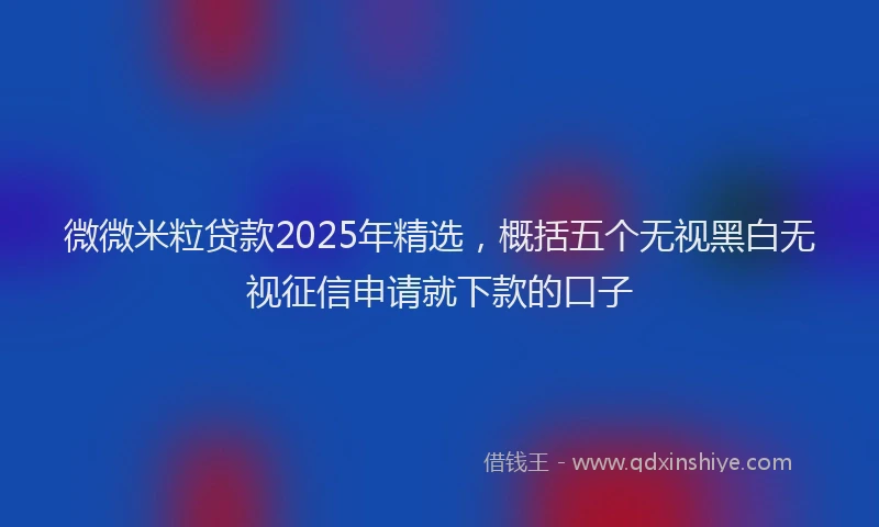 微微米粒贷款2025年精选，概括五个无视黑白无视征信申请就下款的口子
