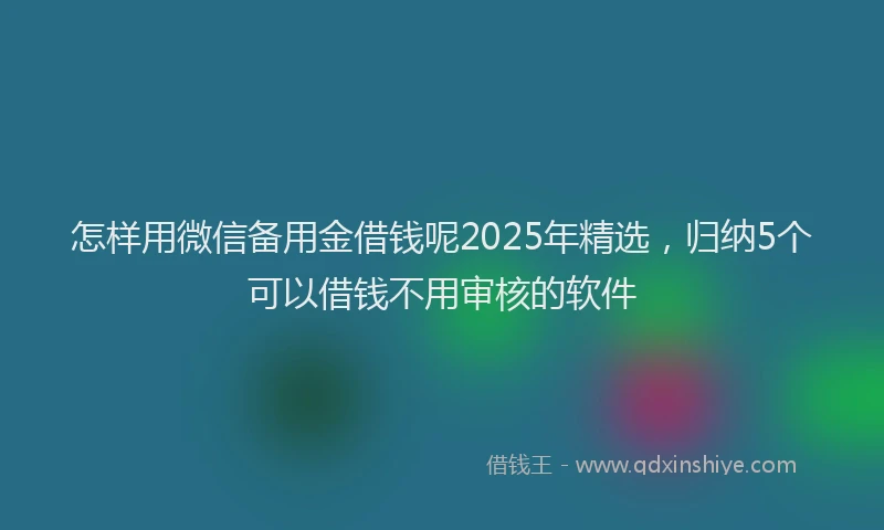 怎样用微信备用金借钱呢2025年精选，归纳5个可以借钱不用审核的软件