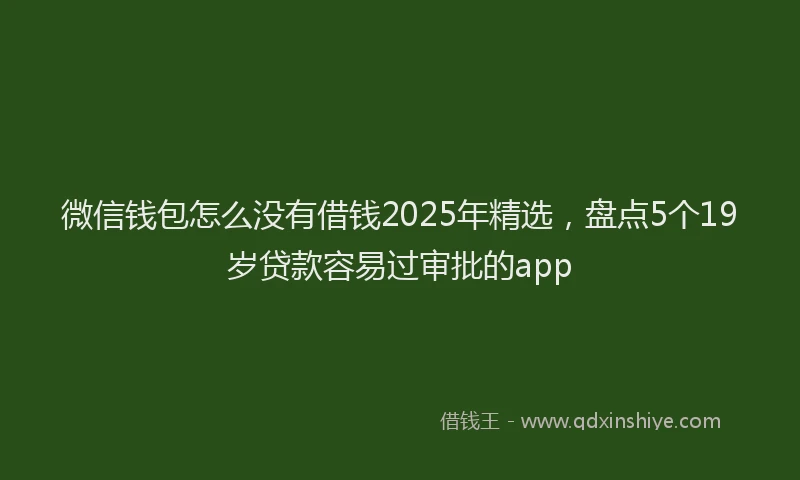 微信钱包怎么没有借钱2025年精选，盘点5个19岁贷款容易过审批的app