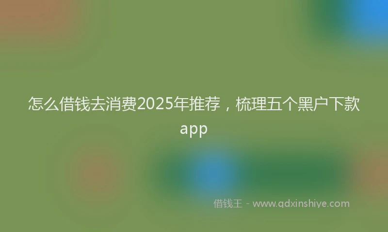 怎么借钱去消费2025年推荐，梳理五个黑户下款app