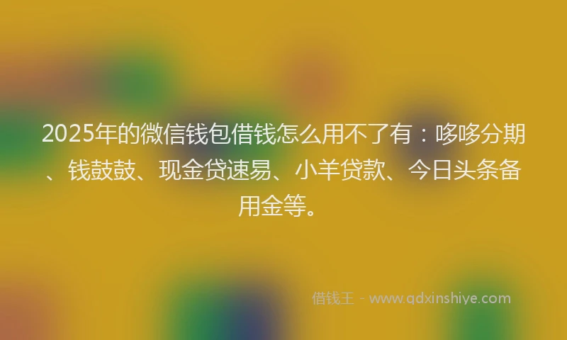 2025年的微信钱包借钱怎么用不了有：哆哆分期、钱鼓鼓、现金贷速易、小羊贷款、今日头条备用金等。