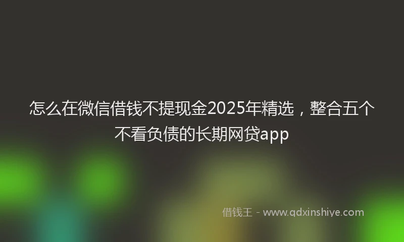 怎么在微信借钱不提现金2025年精选，整合五个不看负债的长期网贷app