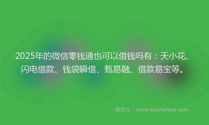 2025年的微信零钱通也可以借钱吗有：天小花、闪电借款、钱袋瞬借、甄易融、借款易宝等。