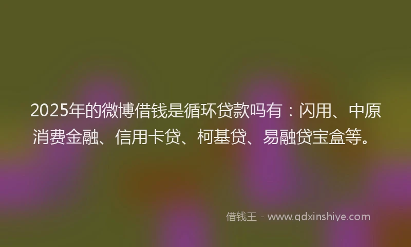 2025年的微博借钱是循环贷款吗有：闪用、中原消费金融、信用卡贷、柯基贷、易融贷宝盒等。