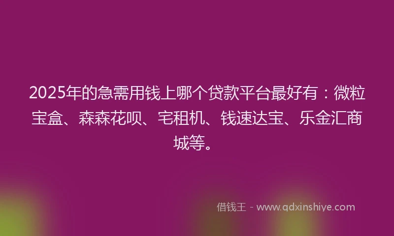 2025年的急需用钱上哪个贷款平台最好有：微粒宝盒、森森花呗、宅租机、钱速达宝、乐金汇商城等。