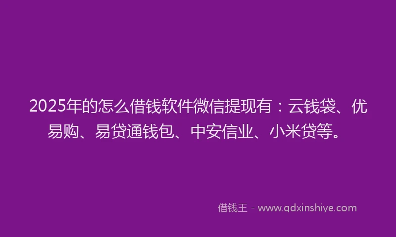 2025年的怎么借钱软件微信提现有：云钱袋、优易购、易贷通钱包、中安信业、小米贷等。