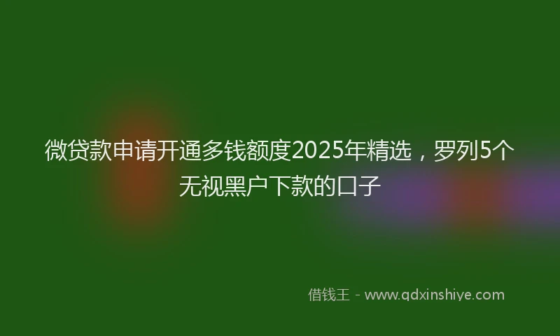 微贷款申请开通多钱额度2025年精选，罗列5个无视黑户下款的口子