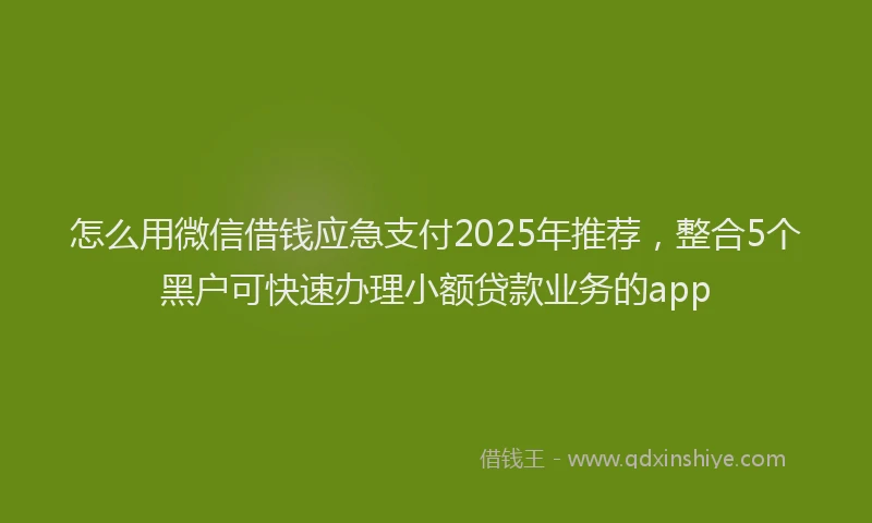 怎么用微信借钱应急支付2025年推荐，整合5个黑户可快速办理小额贷款业务的app