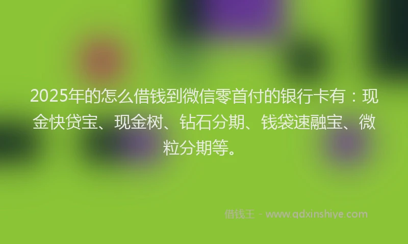 2025年的怎么借钱到微信零首付的银行卡有：现金快贷宝、现金树、钻石分期、钱袋速融宝、微粒分期等。