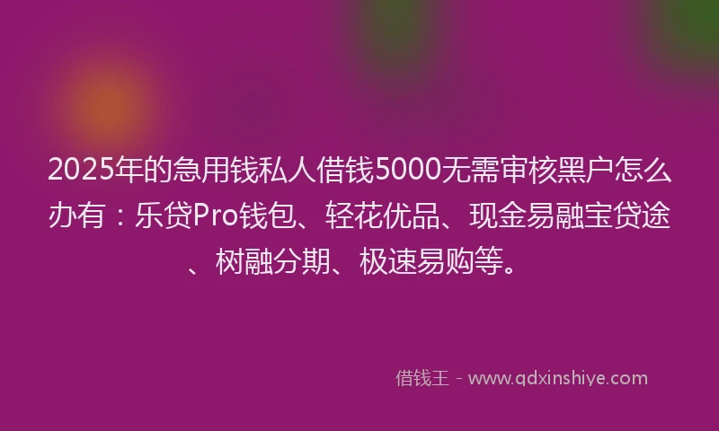 2025年的急用钱私人借钱5000无需审核黑户怎么办有：乐贷Pro钱包、轻花优品、现金易融宝贷途、树融分期、极速易购等。
