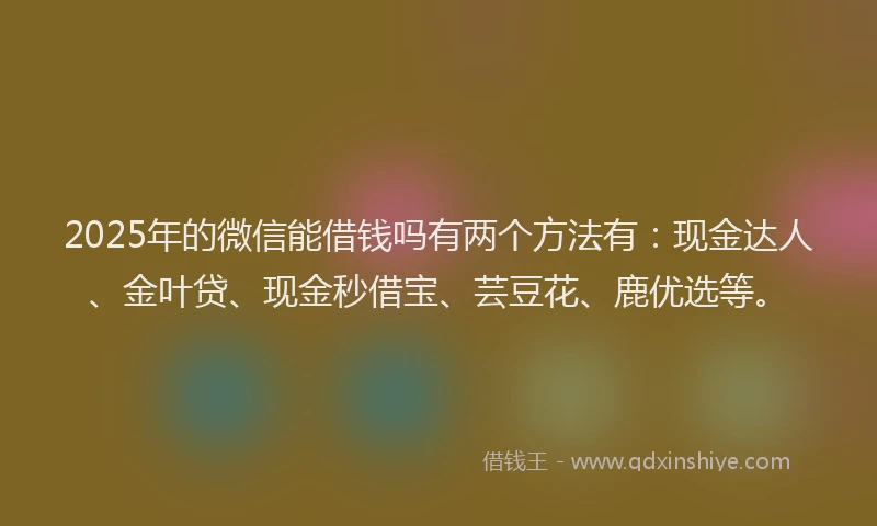 2025年的微信能借钱吗有两个方法有：现金达人、金叶贷、现金秒借宝、芸豆花、鹿优选等。