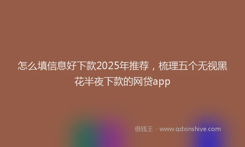 怎么填信息好下款2025年推荐，梳理五个无视黑花半夜下款的网贷app