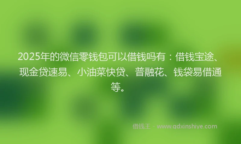 2025年的微信零钱包可以借钱吗有：借钱宝途、现金贷速易、小油菜快贷、普融花、钱袋易借通等。
