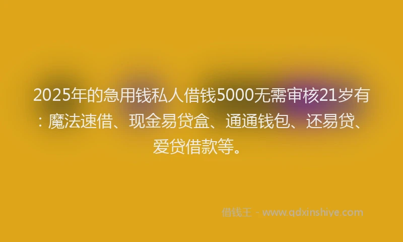 2025年的急用钱私人借钱5000无需审核21岁有：魔法速借、现金易贷盒、通通钱包、还易贷、爱贷借款等。