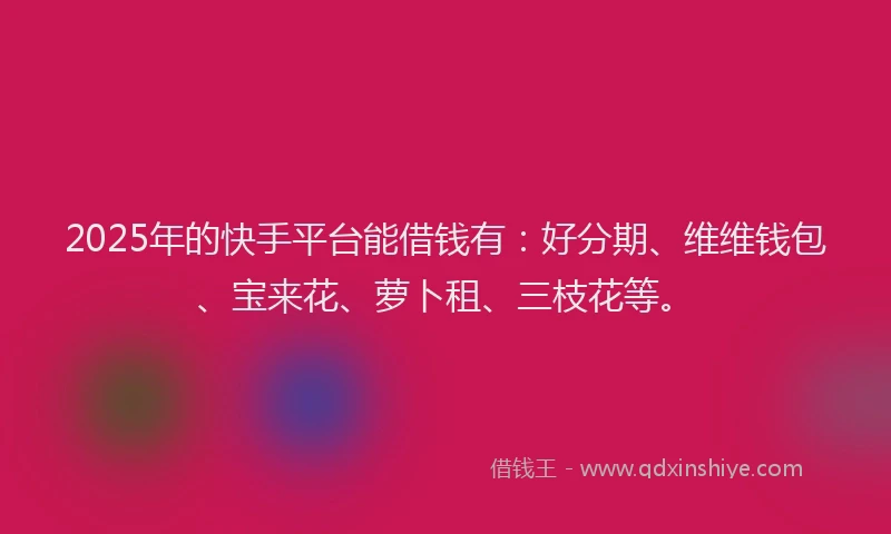 2025年的快手平台能借钱有：好分期、维维钱包、宝来花、萝卜租、三枝花等。