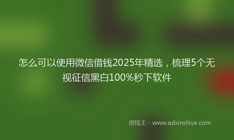 怎么可以使用微信借钱2025年精选，梳理5个无视征信黑白100%秒下软件