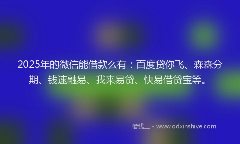2025年的微信能借款么有：百度贷你飞、森森分期、钱速融易、我来易贷、快易借贷宝等。