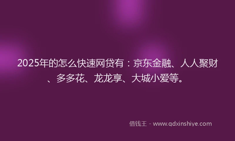 2025年的怎么快速网贷有：京东金融、人人聚财、多多花、龙龙享、大城小爱等。