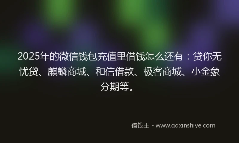 2025年的微信钱包充值里借钱怎么还有：贷你无忧贷、麒麟商城、和信借款、极客商城、小金象分期等。