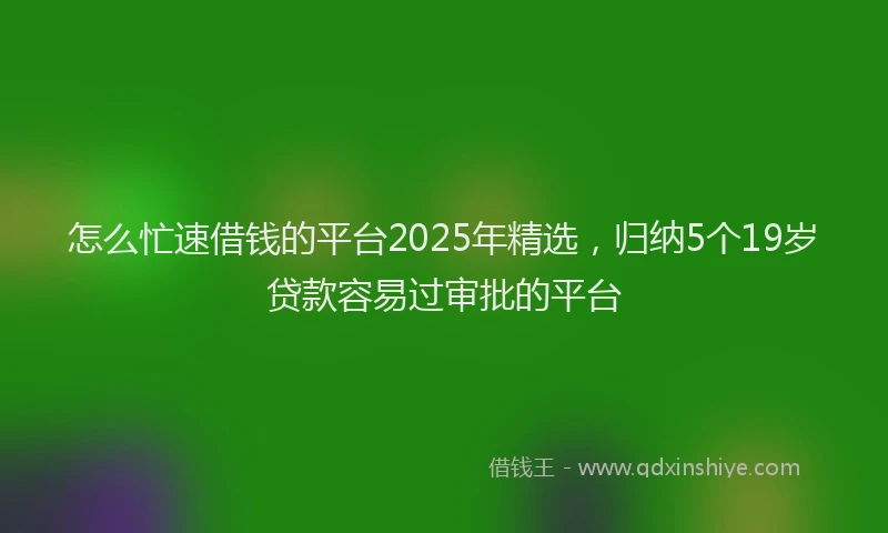 怎么忙速借钱的平台2025年精选，归纳5个19岁贷款容易过审批的平台
