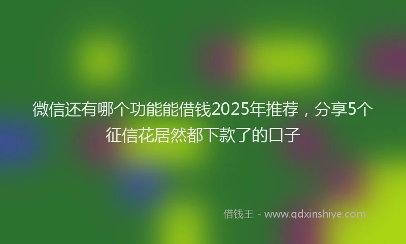 微信还有哪个功能能借钱2025年推荐，分享5个征信花居然都下款了的口子