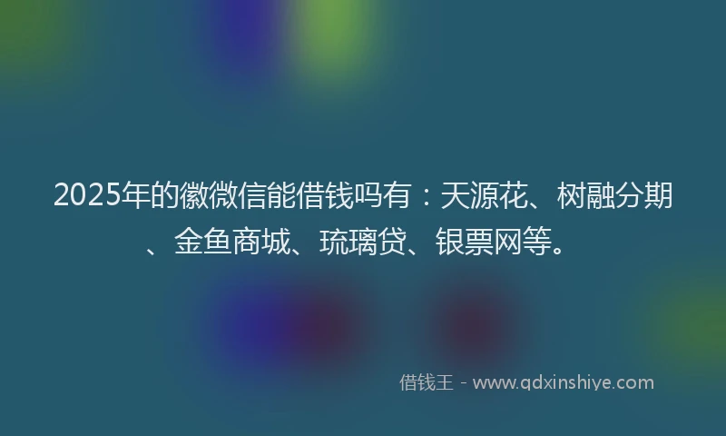 2025年的徽微信能借钱吗有：天源花、树融分期、金鱼商城、琉璃贷、银票网等。
