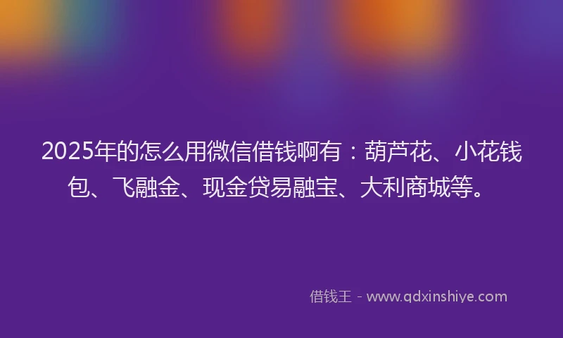 2025年的怎么用微信借钱啊有：葫芦花、小花钱包、飞融金、现金贷易融宝、大利商城等。