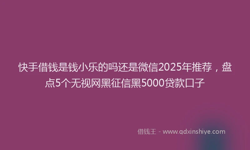 快手借钱是钱小乐的吗还是微信2025年推荐，盘点5个无视网黑征信黑5000贷款口子