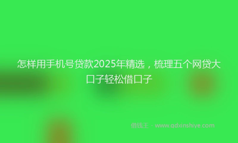 怎样用手机号贷款2025年精选，梳理五个网贷大口子轻松借口子