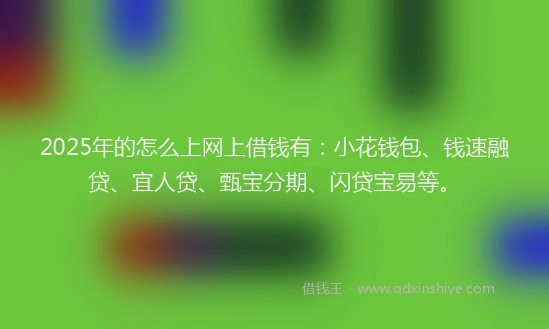 2025年的怎么上网上借钱有：小花钱包、钱速融贷、宜人贷、甄宝分期、闪贷宝易等。