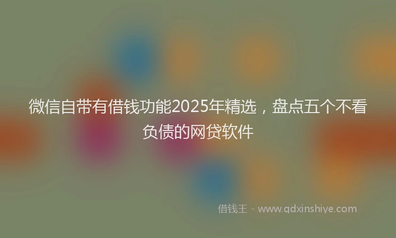 微信自带有借钱功能2025年精选，盘点五个不看负债的网贷软件