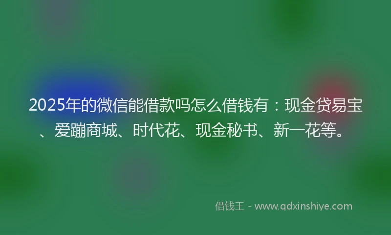 2025年的微信能借款吗怎么借钱有：现金贷易宝、爱蹦商城、时代花、现金秘书、新一花等。