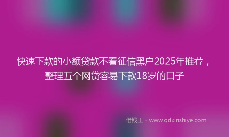 快速下款的小额贷款不看征信黑户2025年推荐，整理五个网贷容易下款18岁的口子