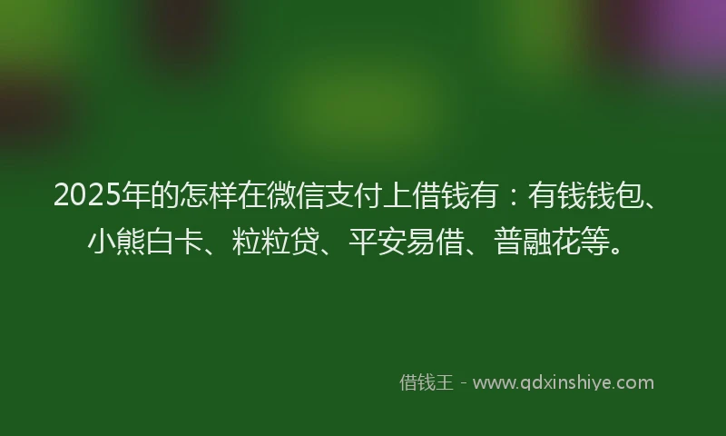 2025年的怎样在微信支付上借钱有：有钱钱包、小熊白卡、粒粒贷、平安易借、普融花等。