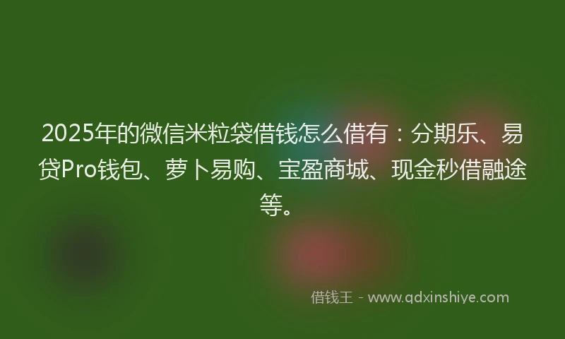 2025年的微信米粒袋借钱怎么借有：分期乐、易贷Pro钱包、萝卜易购、宝盈商城、现金秒借融途等。
