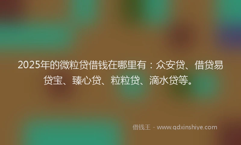 2025年的微粒贷借钱在哪里有：众安贷、借贷易贷宝、臻心贷、粒粒贷、滴水贷等。